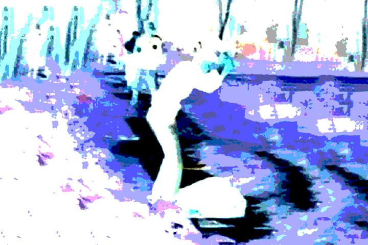 images