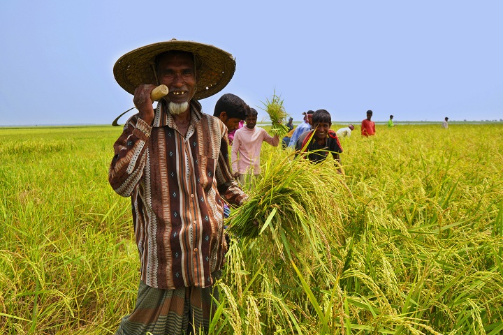 নানান পেশায় শ্রমজীবী