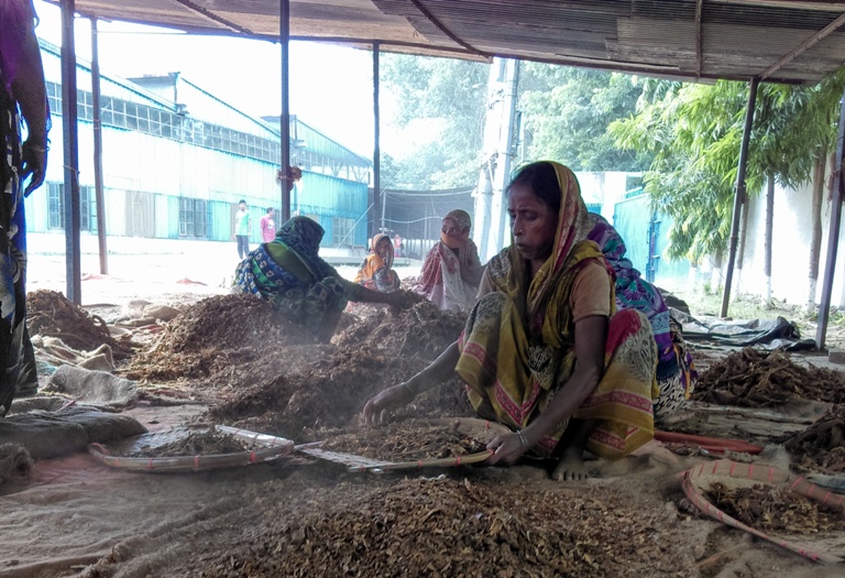 সিগারেটের চেয়েও কম দাম তামাক শ্রমিকদের