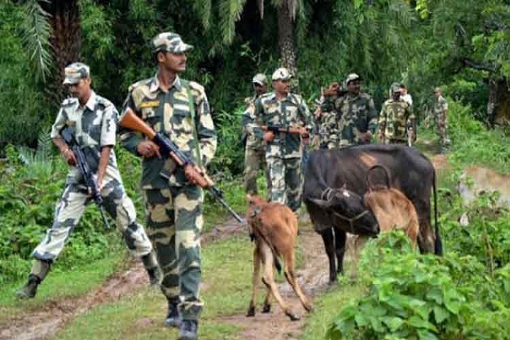 পঞ্চগড় সীমান্তে বিএসএফের গুলিতে কিশোর আহ