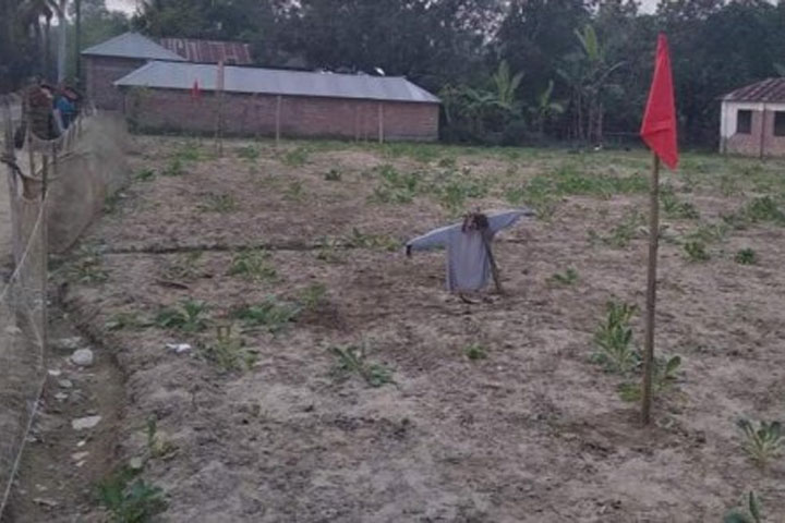 Government, land, cannot, sub-leased