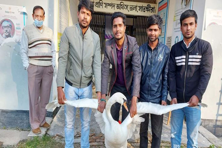 বাংলাদেশে প্রথমবার দেখা মিলল যে পাখি