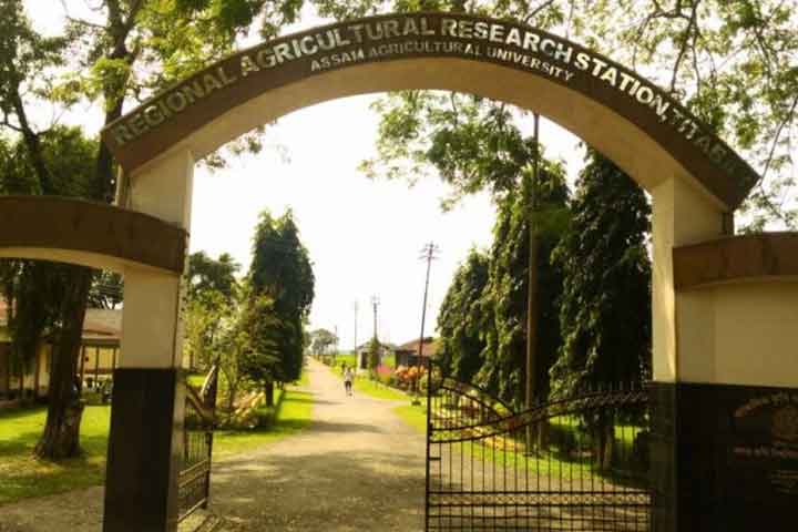 Assam rice research institute bags best centre in the country