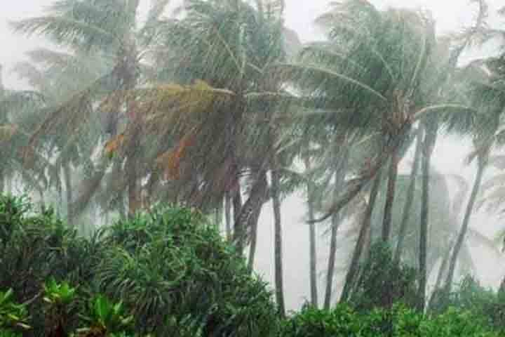 বরগুনা