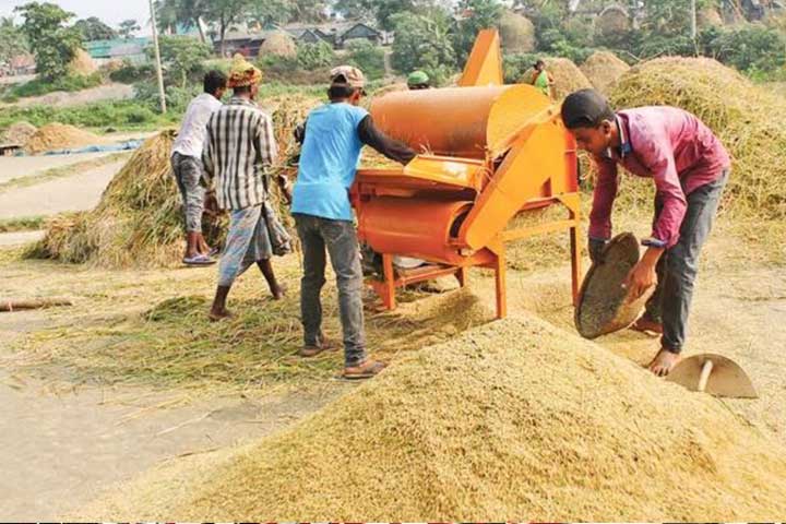 বিশ্ব খাদ্য নিরাপত্তা