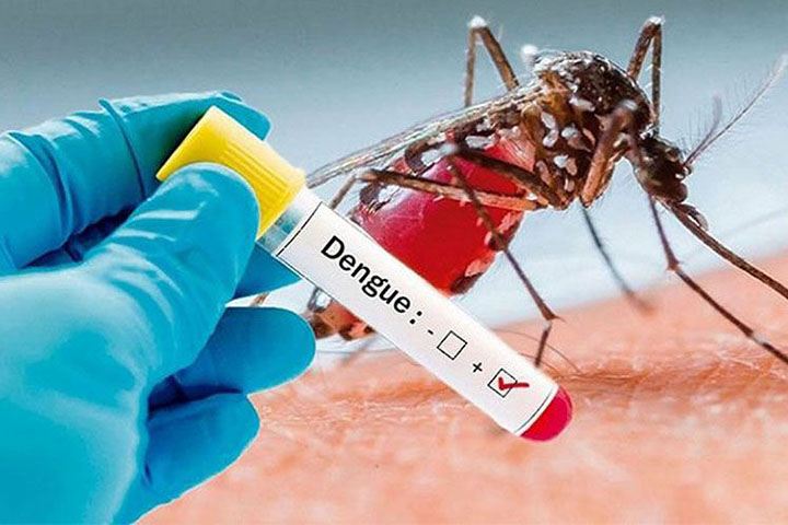 Dengue: Death toll crosses 1100-mark in Bangladesh