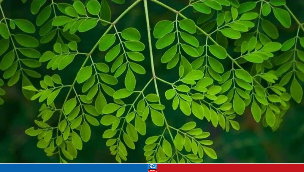 সুপার ফুড