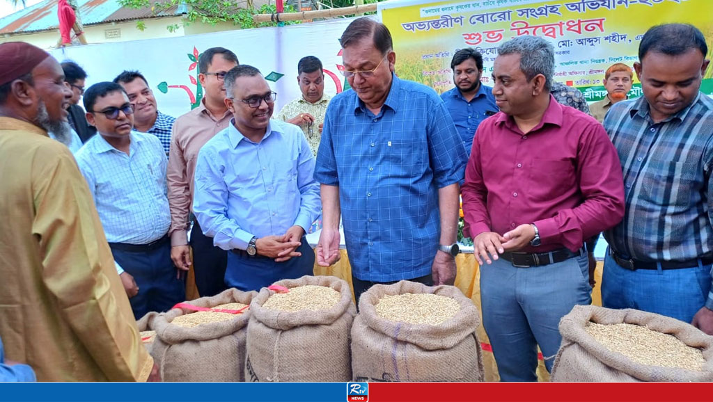 ধান