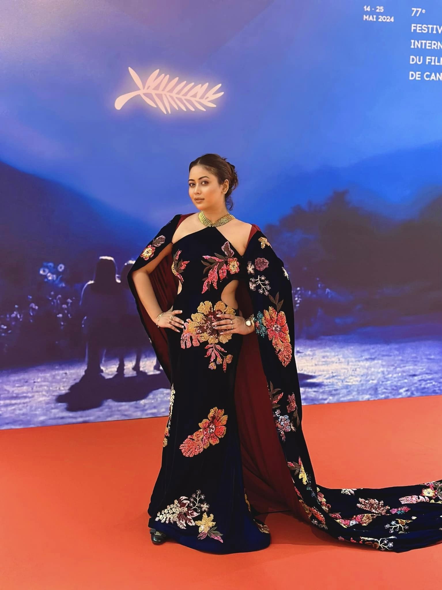 আশনা হাবিব ভাবনা