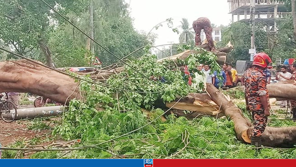 ১০ মিনিটের কালবৈশাখী ঝড়ে লণ্ডভণ্ড দিনাজপুর