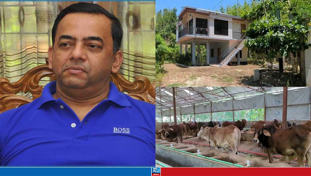 বান্দরবানে বেনজীরের খামারসহ আরও শত একর জমির খোঁজ