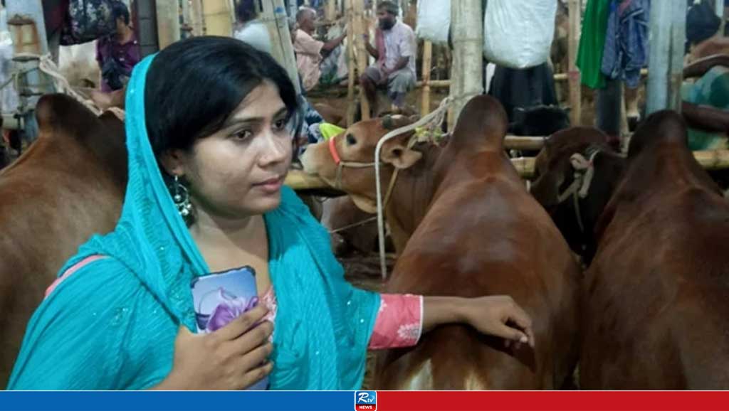 নজর কাড়ছে উচ্চশিক্ষিত নারীর ১৪ গরু