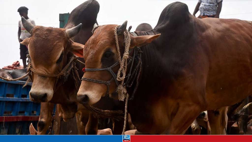Animal slaughter increased during Eid-ul-Azha across the country