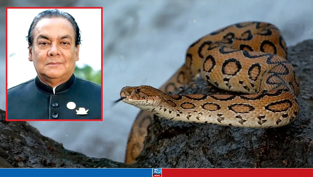 রাসেলস ভাইপার কাণ্ডে বিব্রত আ.লীগ নেতা, পুরস্কার ঘোষণা প্রত্যাহার