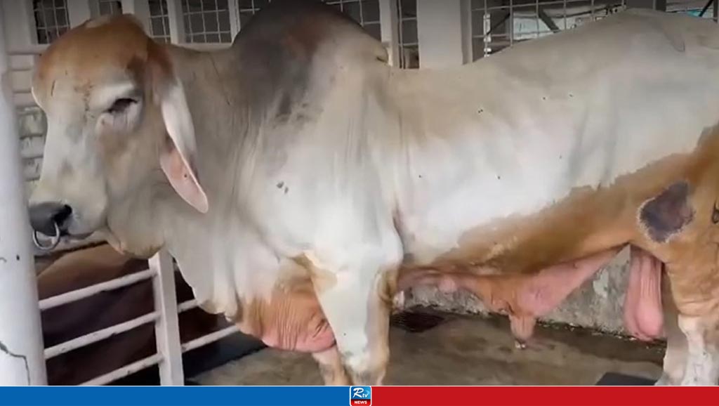 দুদক