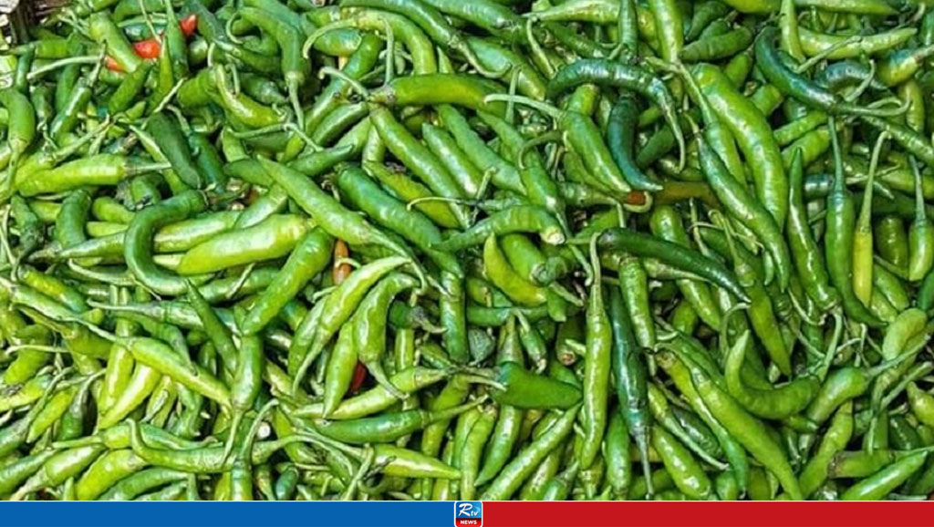 কাঁচা মরিচের দামে ট্রিপল সেঞ্চুরি