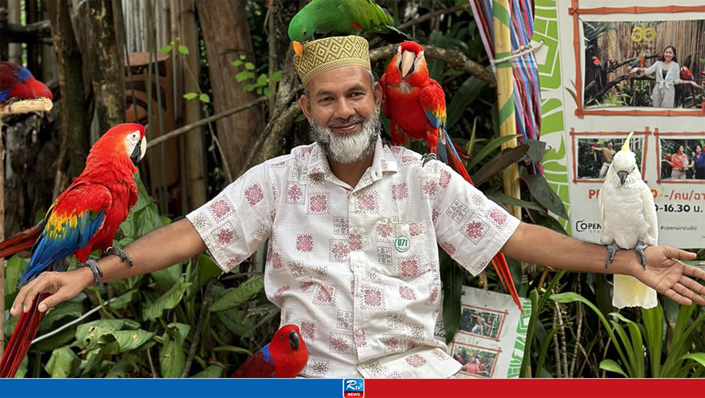 সব ক্যাডারেই আছে আবেদ আলীর লোক, তালিকা হচ্ছে তাদের