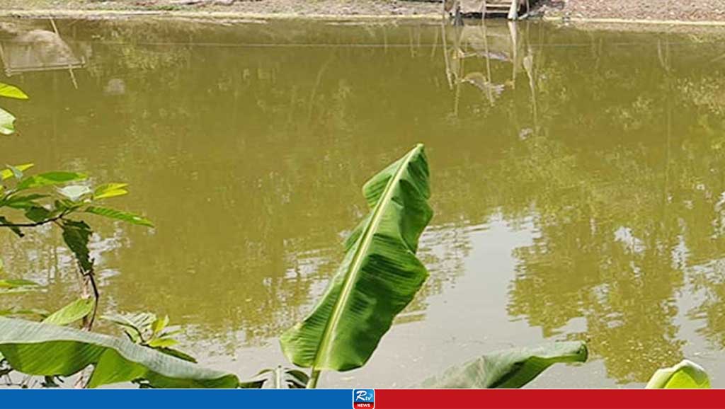 শ্বশুর বাড়ির পুকুরে ডুবে যুবকের মৃত্যু