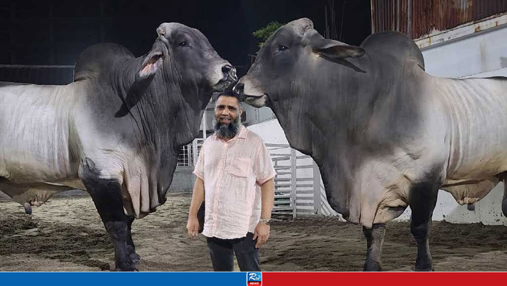 ইমরান ও প্রাণিসম্পদের দুই কর্তাসহ ৭ জনের বিরুদ্ধে মামলা 