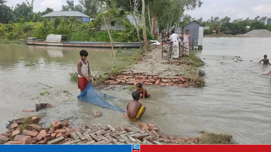 বিপৎসীমার নিচে সারিয়াকান্দিতে যমুনা নদীর পানি
