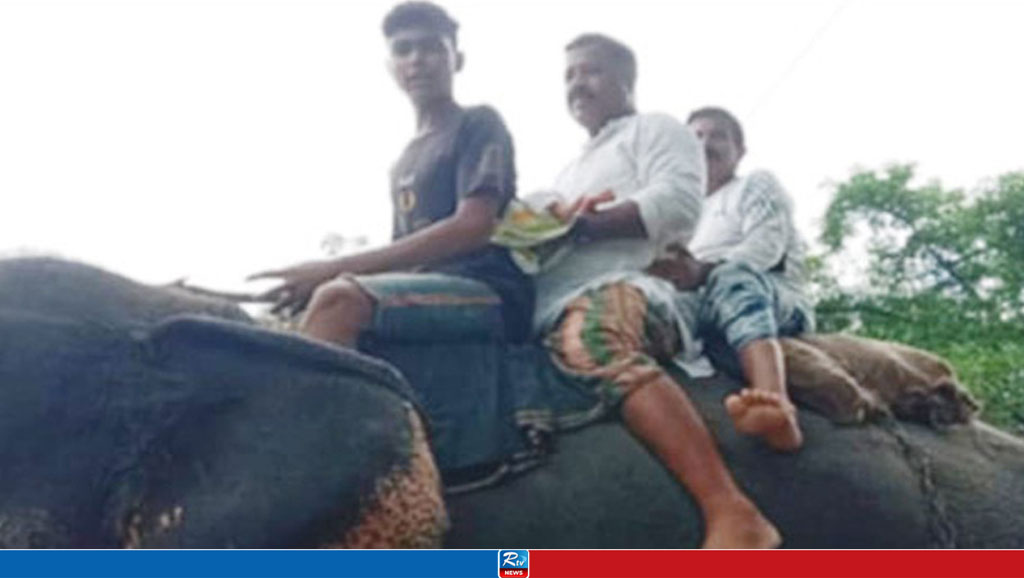 হাতির পিঠে নবজাতক নাতিকে নিয়ে বাড়ি ফিরলেন দাদা