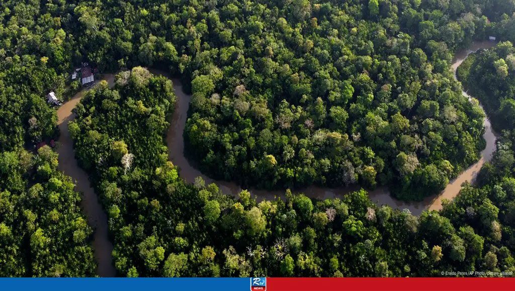 Amazon deforestation rises for the first time in 15 months