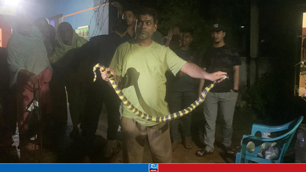 শ্রীমঙ্গলে শঙ্খিনী সাপ উদ্ধার