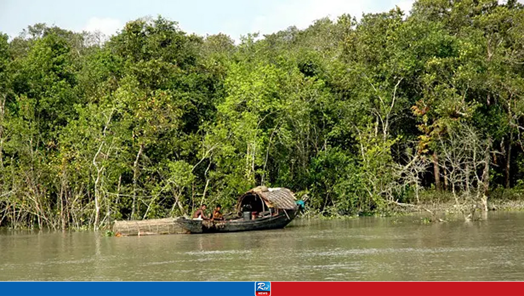 ৩ মাস পর উন্মুক্ত সুন্দরবন