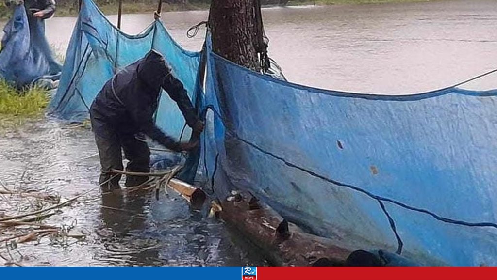 বন্যায় কুমিল্লাতে মৎস্য খাতে ৪০০ কোটি টাকার ক্ষতি