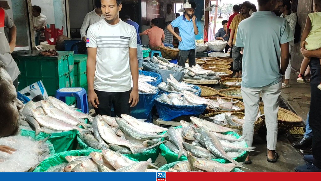 চাঁদপুরে চাহিদার তুলনায় ইলিশের সরবরাহ কম, দাম চড়া