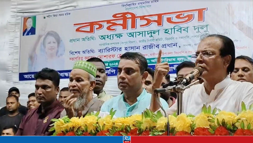 শেখ হাসিনার ওপর আল্লাহর গজব পড়েছে: দুলু