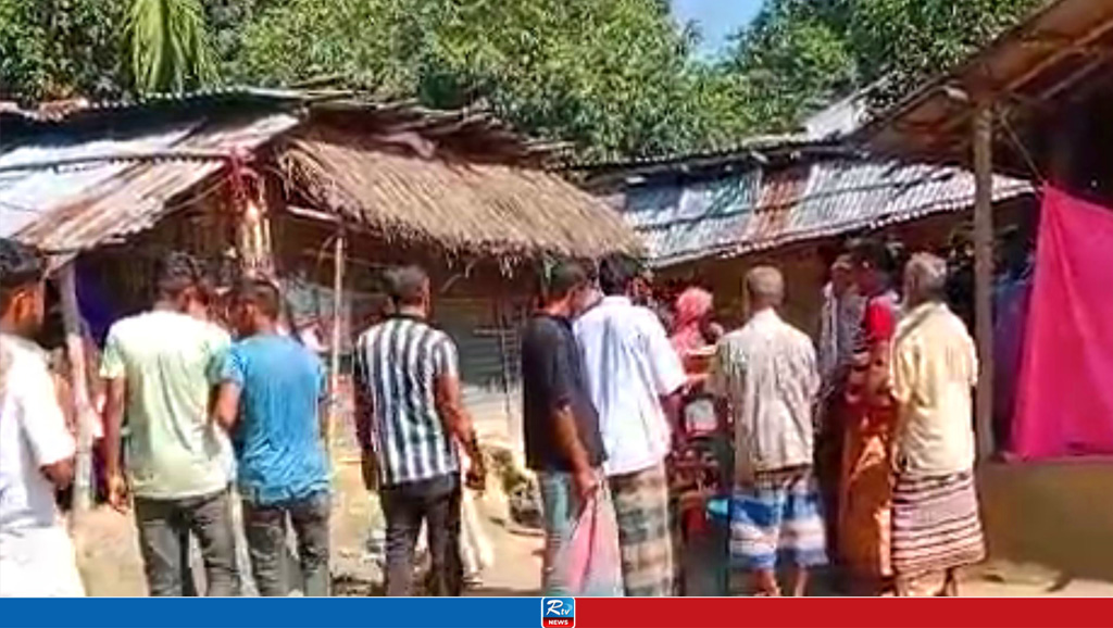 ঘুমন্ত অবস্থায় সাপে কামড়, ২ শিশুর মৃত্যু