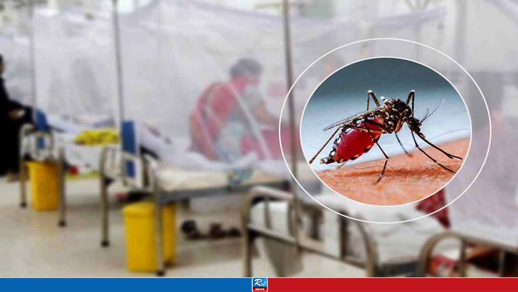 Dengue Outbreak Worsens: 12 Dead, 2,366 Hospitalized in 7 Days