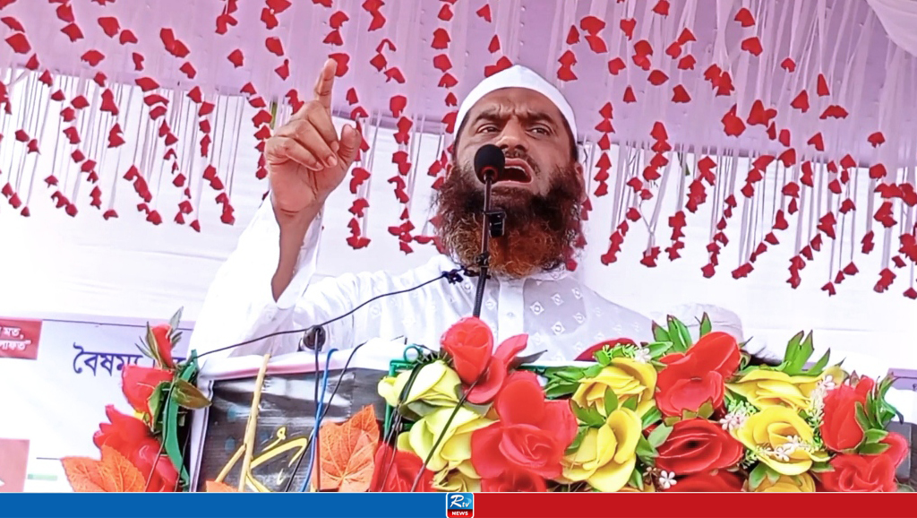 শেখ হাসিনার রাজনীতি ছিল প্রতিহিংসার রাজনীতি: মামুনুল হক