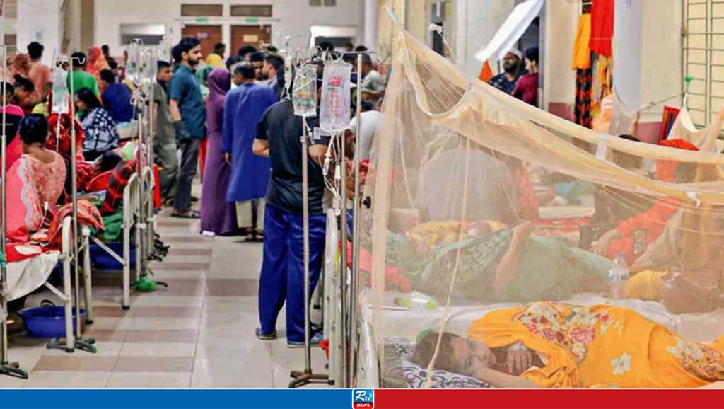 যশোরে ডেঙ্গু আক্রান্ত রোগীর সংখ্যা বাড়ছে 