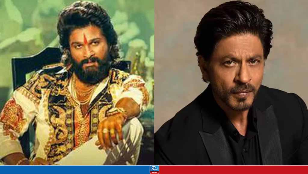 যে কারণে ‘পুষ্পা’ সিনেমার প্রস্তাব ফিরিয়ে দেন শাহরুখ