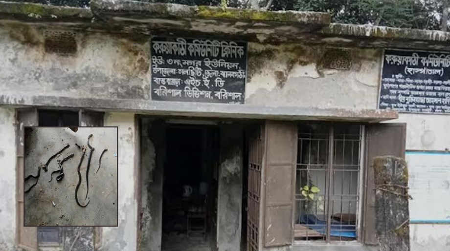 0004747 0004747