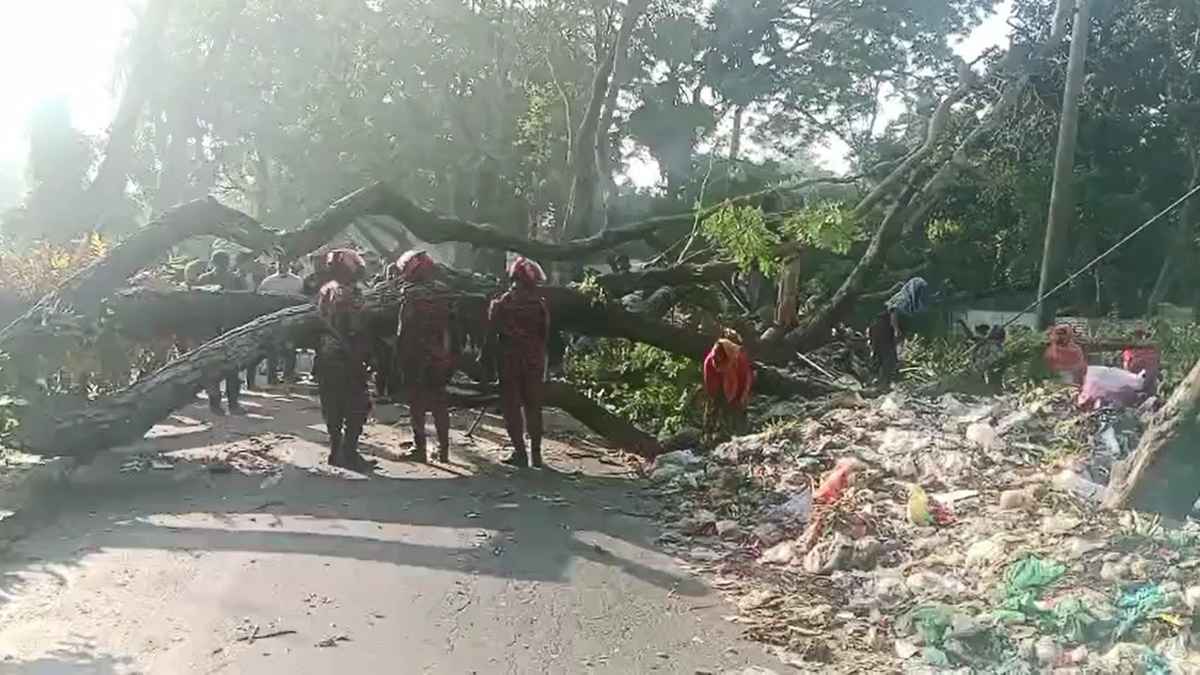 Madaripur_20251116_092053489 Madaripur_20251116_092053489