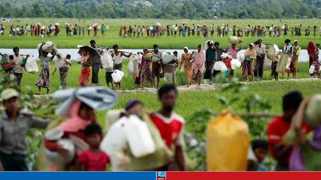 rohingya
