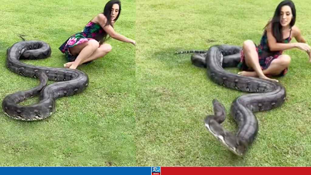 SNAKE