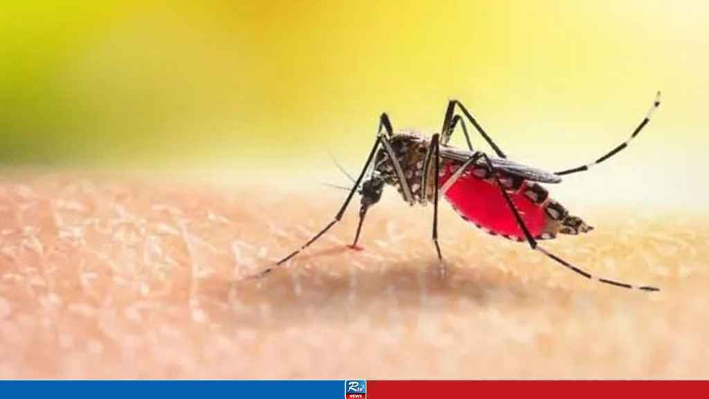 Dengue_20251027_172221247_20251031_173259541_20251101_161645584_20251108_161542320_20251113_161451073_20251121_164747948_20251124_162007990_20251127_160807450