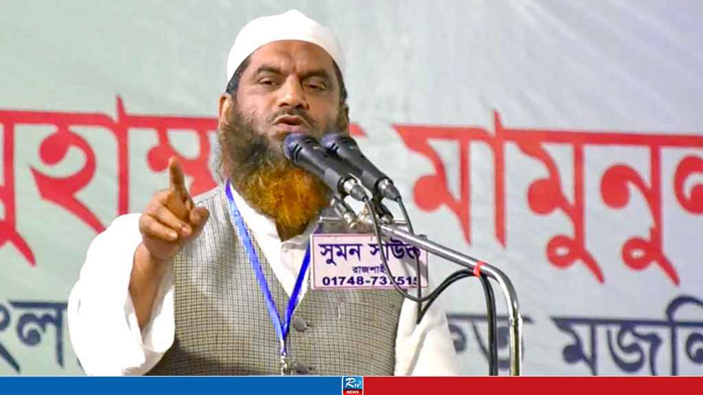 উপদেষ্টাদের মাত্রাতিরিক্ত সুশীলগিরি মেনে নেওয়া হবে না: মামুনুল হক