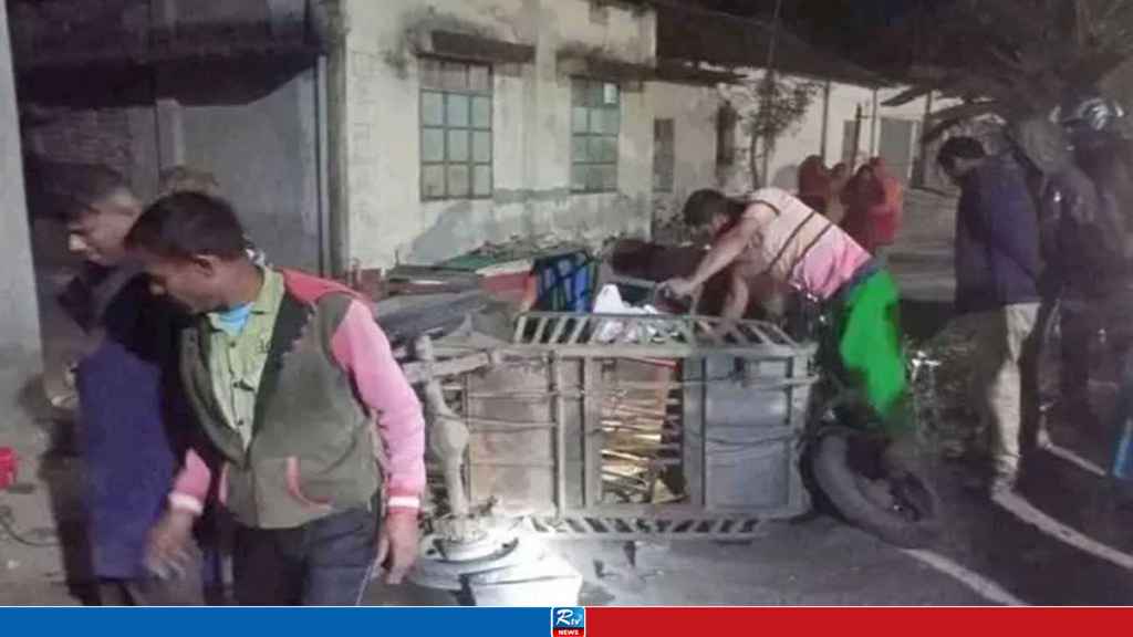 শেরপুরে মাইক্রোবাস চাপায় নিহত ২