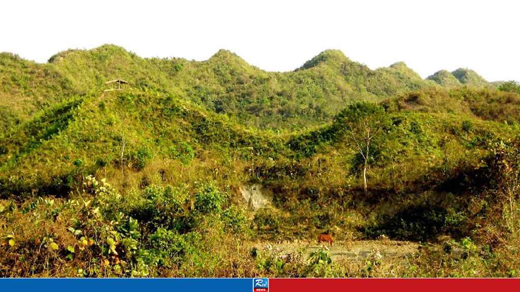 টেকনাফে পাহাড় থেকে ৫ কাঠুরিয়াকে অপহরণ, মুক্তিপণ দাবি