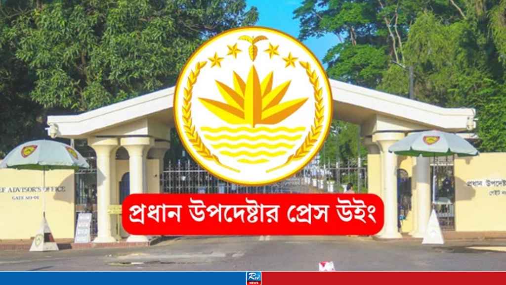 দেশকে অস্থিতিশীল করার চেষ্টা প্রতিহত করা হবে: সরকার 