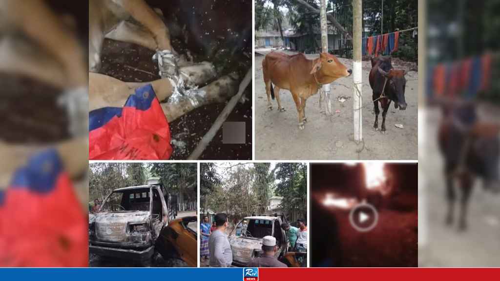 রাস্তা ভুলে আটকে গেল চোরের দল, অতঃপর...