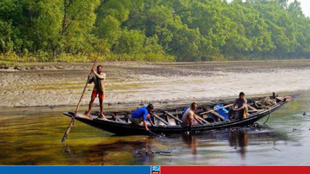 সুন্দরবনে ঢুকে বাংলাদেশের জেলেদের ওপর বিএসএফের হামলা