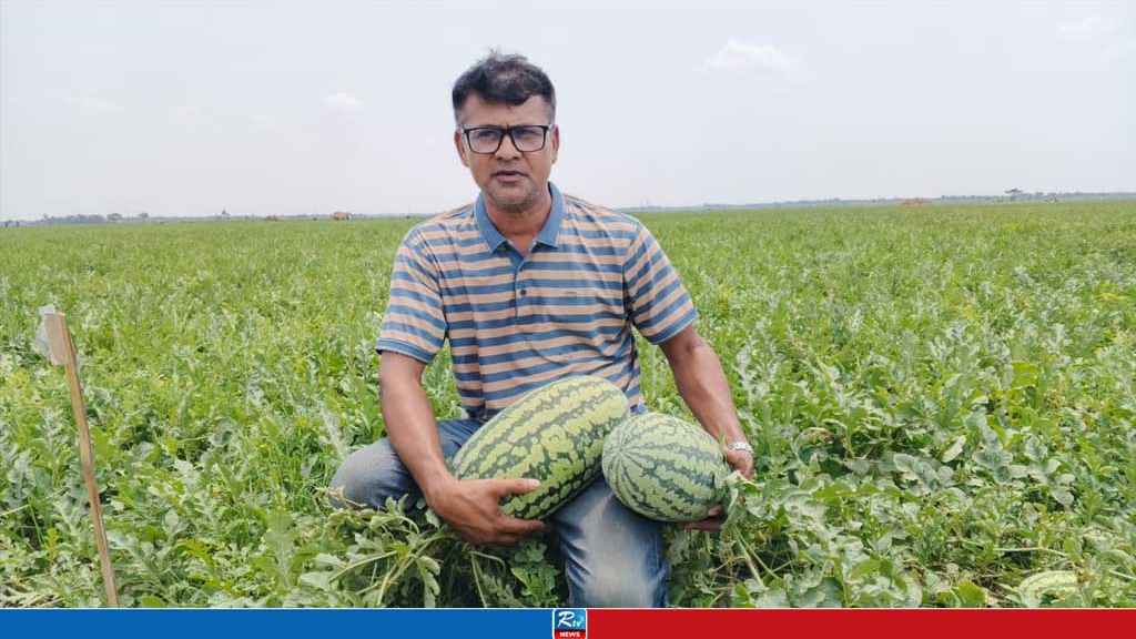 পাইকগাছায় তরমুজ চাষে শান্তর বিস্ময়কর সাফল্য