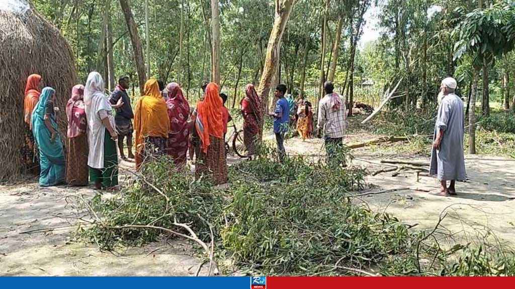 গাছ কাটার সময় নিচে পড়ে প্রাণ গেল শ্রমিকের