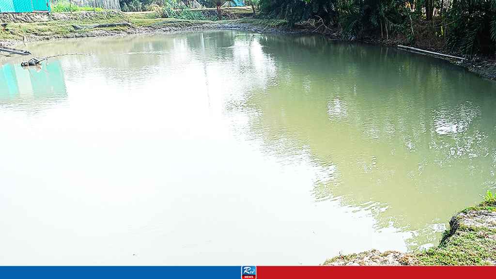 নোয়াখালীতে পুকুরে ডুবে দুই শিশুর মৃত্যু